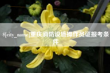 广州重庆消防设施操作员证报考条件