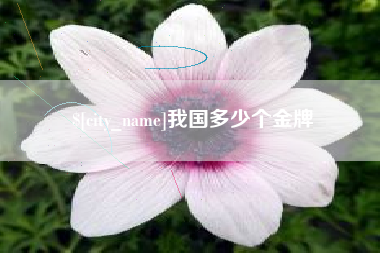 广州我国多少个金牌
