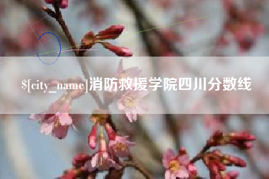 广州消防救援学院四川分数线