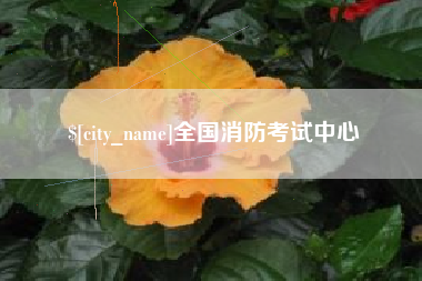广州全国消防考试中心
