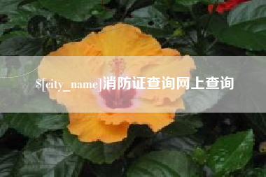 广州消防证查询网上查询