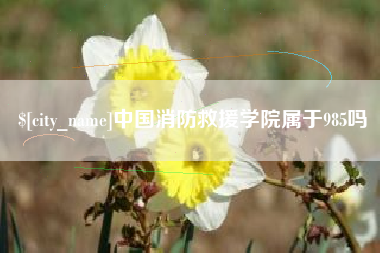 广州中国消防救援学院属于985吗