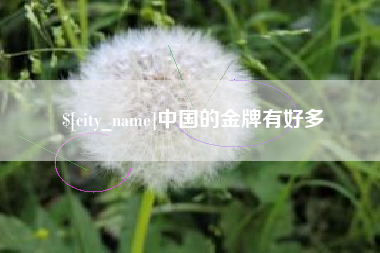 广州中国的金牌有好多
