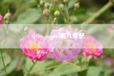 广州第九金是