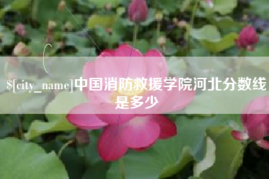 广州中国消防救援学院河北分数线是多少