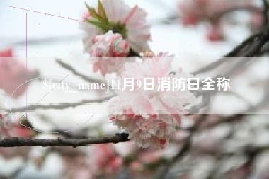 广州11月9日消防日全称