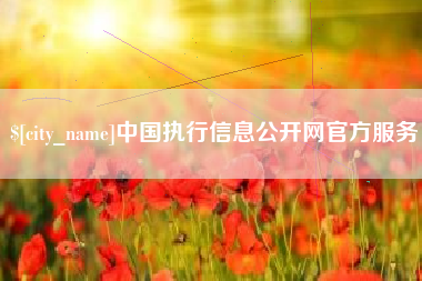 广州中国执行信息公开网官方服务