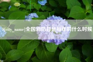 广州全国消防日是每年的什么时候