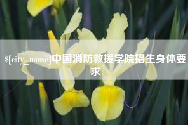 广州中国消防救援学院招生身体要求