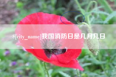 广州我国消防日是几月几日