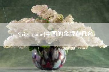 广州中国的金牌有几名