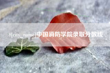 广州中国消防学院录取分数线