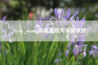 广州河南消防大学分数线