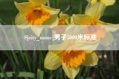 广州男子5000米标准