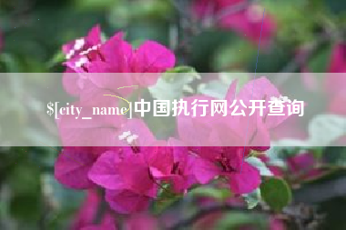广州中国执行网公开查询