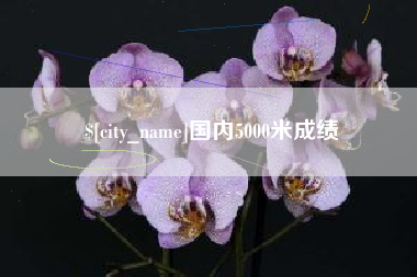广州国内5000米成绩