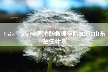 广州中国消防救援学院2021年山东招生计划