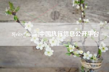 广州中国执行信息公开平台