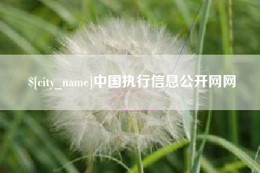广州中国执行信息公开网网