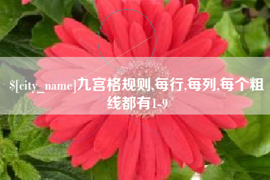 广州九宫格规则,每行,每列,每个粗线都有1-9