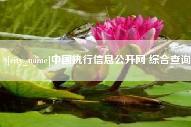广州中国执行信息公开网 综合查询