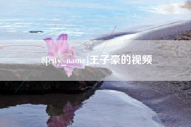 广州王子豪的视频