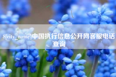 广州中国执行信息公开网客服电话查询