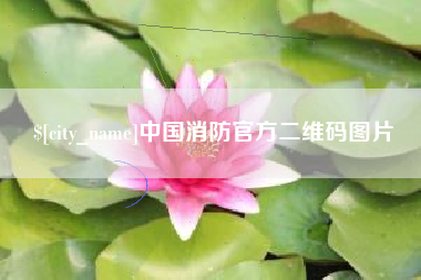 广州中国消防官方二维码图片