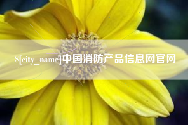 广州中国消防产品信息网官网