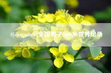 广州全国男子5000米世界纪录