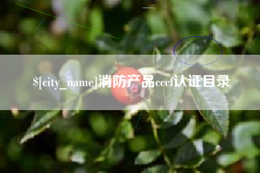 广州消防产品cccf认证目录