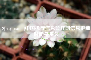 广州中国执行信息公开网信息更新时间是多久