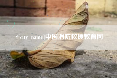 广州中国消防救援教育网