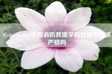 广州中国消防救援学院对视力要求严格吗