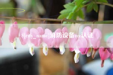 广州消防设备ccc认证