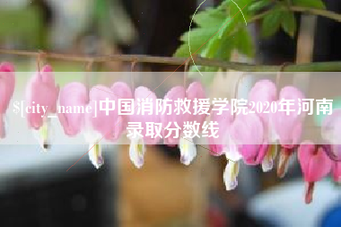 广州中国消防救援学院2020年河南录取分数线