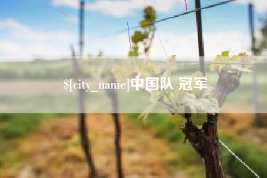 广州中国队 冠军