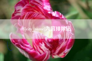 广州九宫排除法