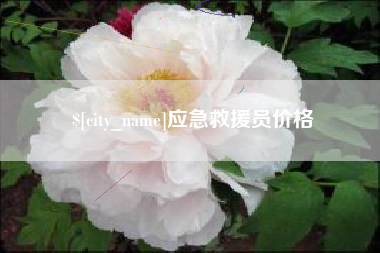 广州应急救援员价格