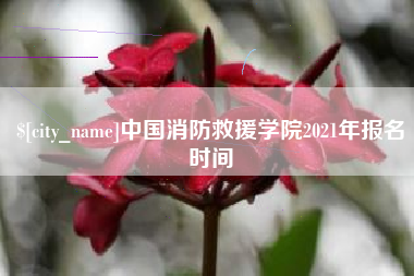 广州中国消防救援学院2021年报名时间