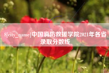 广州中国消防救援学院2021年各省录取分数线