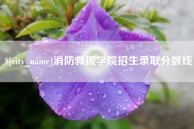 广州消防救援学院招生录取分数线