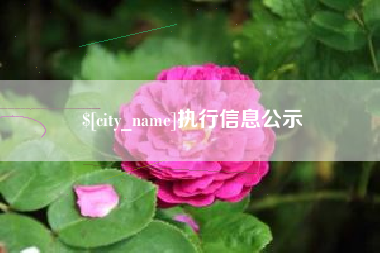 广州执行信息公示