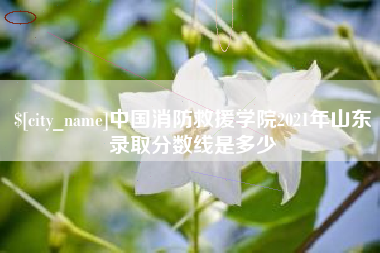 广州中国消防救援学院2021年山东录取分数线是多少