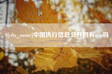 广州中国执行信息公开网有app吗