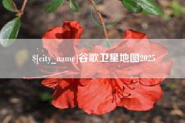 广州谷歌卫星地图2025