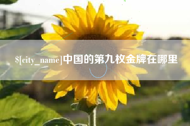 广州中国的第九枚金牌在哪里