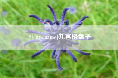 广州九宫格盘子