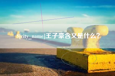 广州王子豪含义是什么？