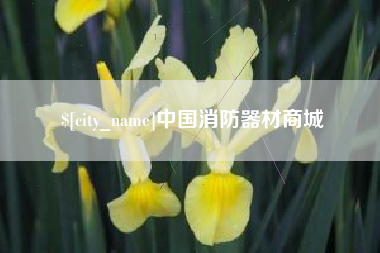 广州中国消防器材商城